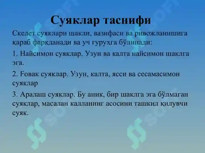 Product slide 6