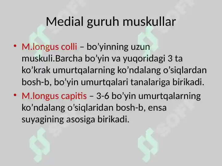Product slide 6