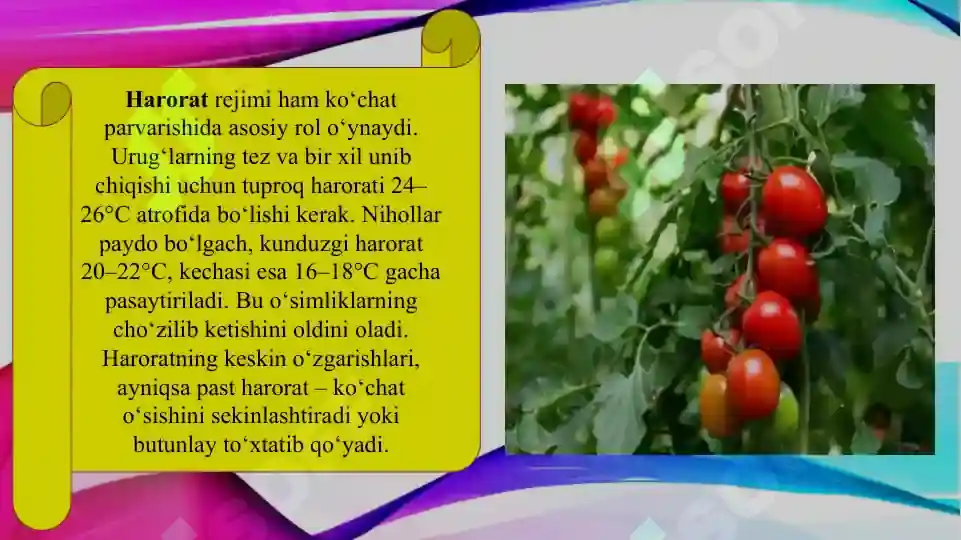 Product slide 6