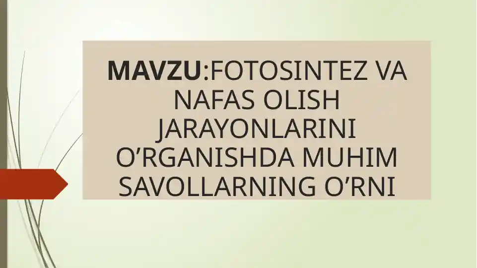 Fotosintez va Nafas Olish Jarayonlari