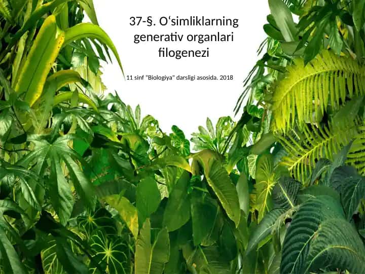 O‘simliklarning generativ organlari filogenezi