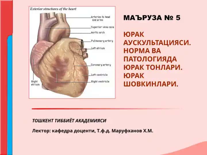 Yurak auskultatsiyasi