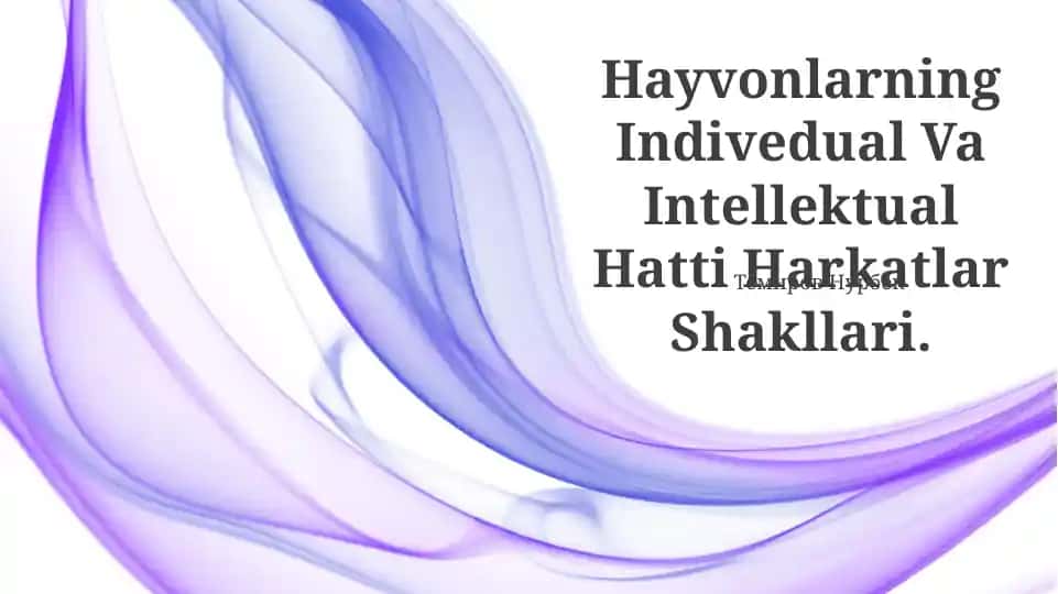 Hayvonlarning Indivedual Va Intellektual Hatti Harkatlar Shakllari