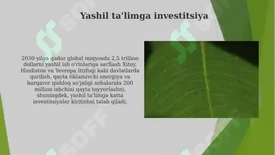 Product slide 7