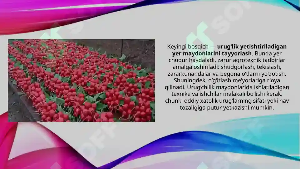 Product slide 6