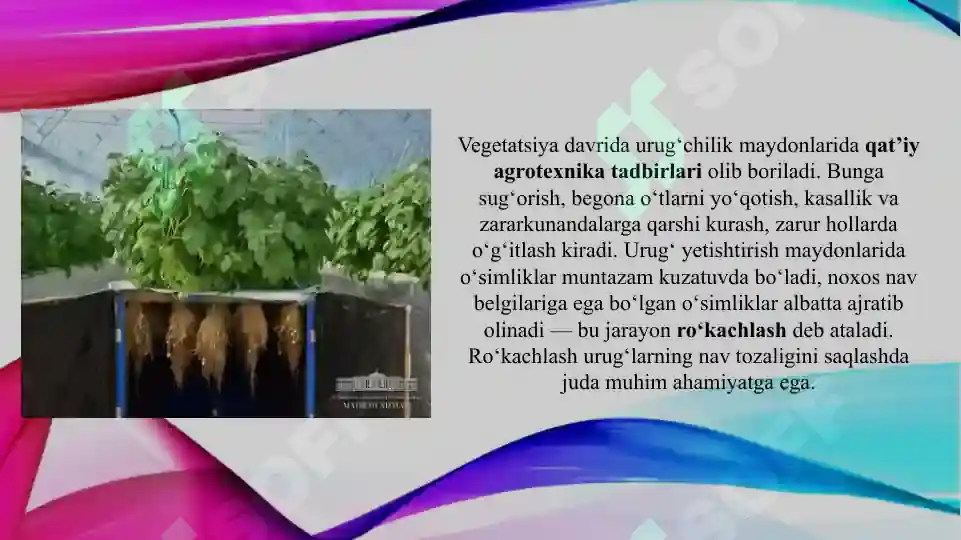 Product slide 8