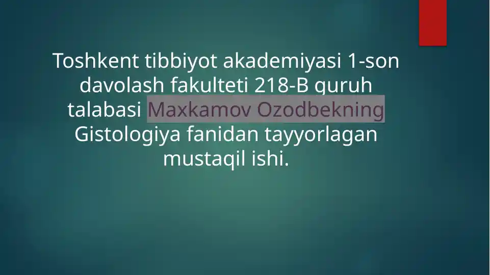 Bosh miya yarim sharlari po’stlog’ining morfogenezi