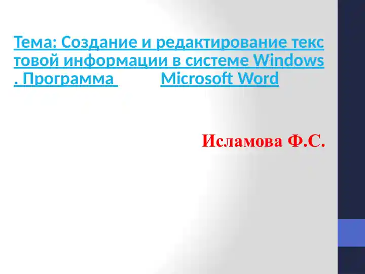 Microsoft Word