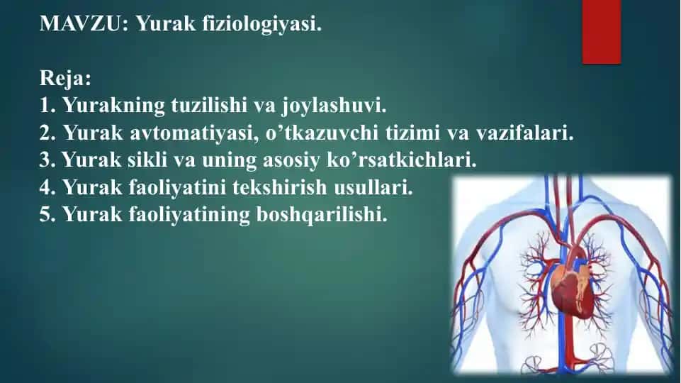 Yurak fiziologiyasi