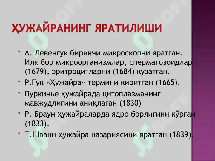Product slide 6