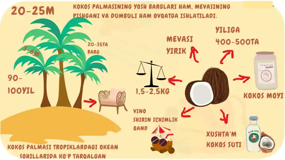 Lorem Ipsum Mahsuloti