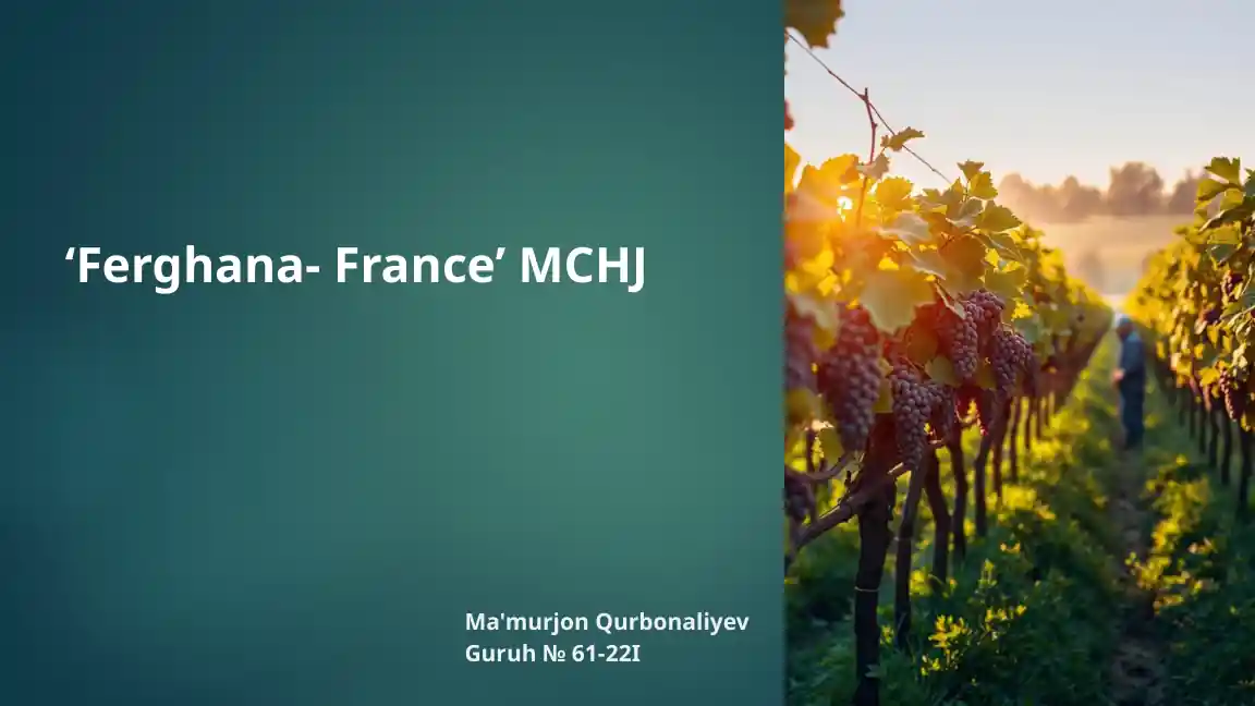 'Ferghana- France’ MCHJ