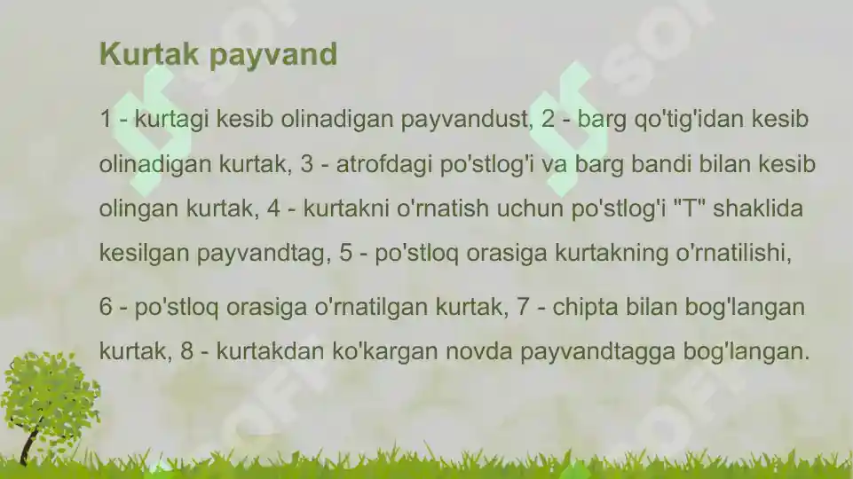 Product slide 8