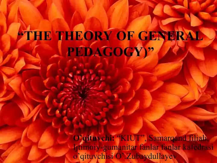 THE THEORY OF GENERAL PEDAGOGY