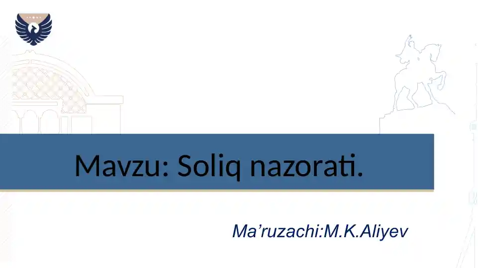 SOLIQ NAZORATI