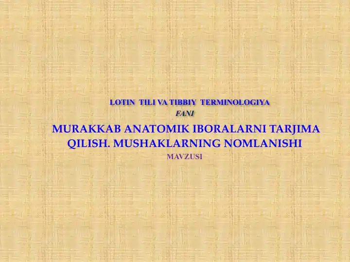 Murakkab anatomik iboralar tarjimasi