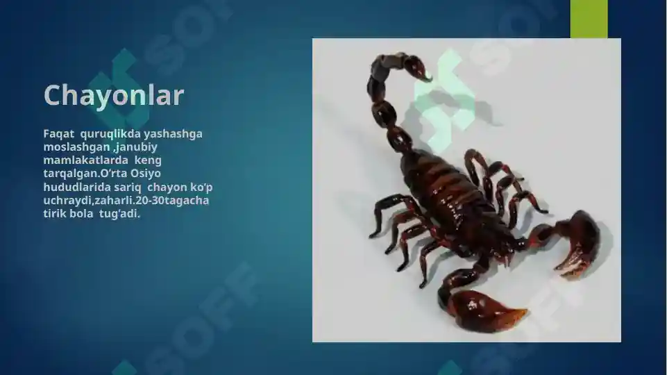 Product slide 8