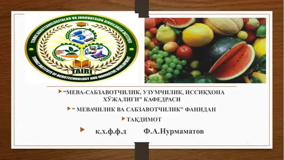 Kam tarqalgan sabzavot ekinlarining o’sishi va rivojlanish bosqichlari