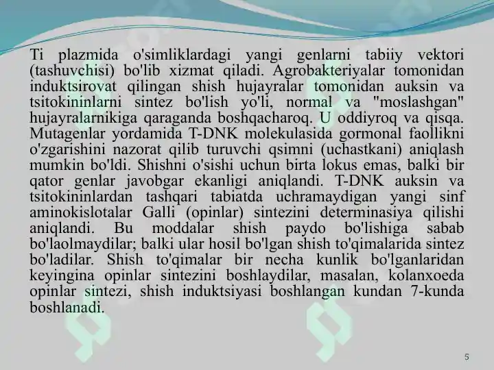 Product slide 5