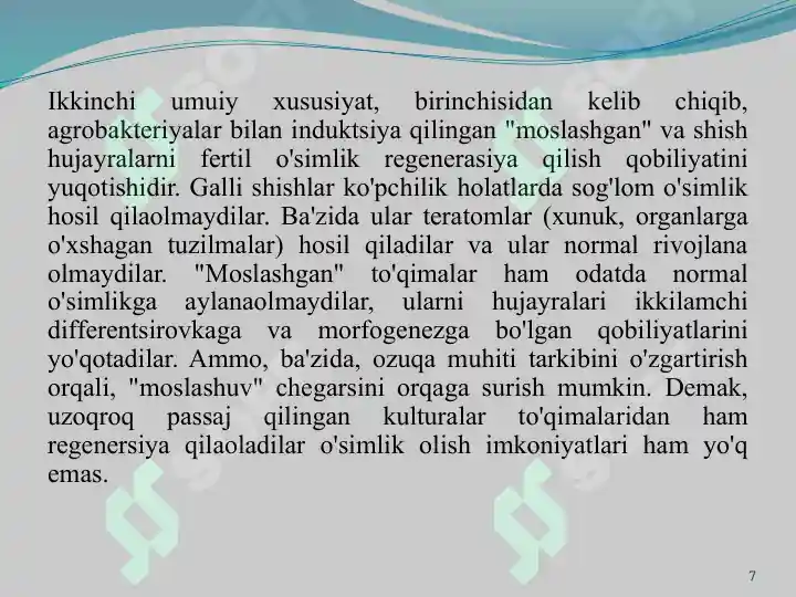 Product slide 7