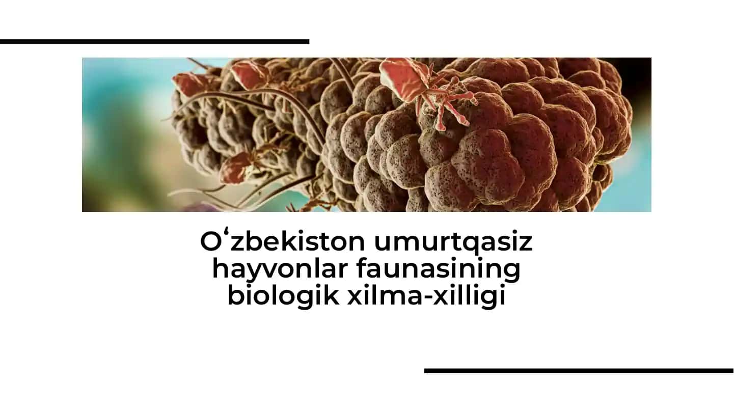 Oʻzbekiston umurtqasiz hayvonlar faunasining biologik xilma-xilligi