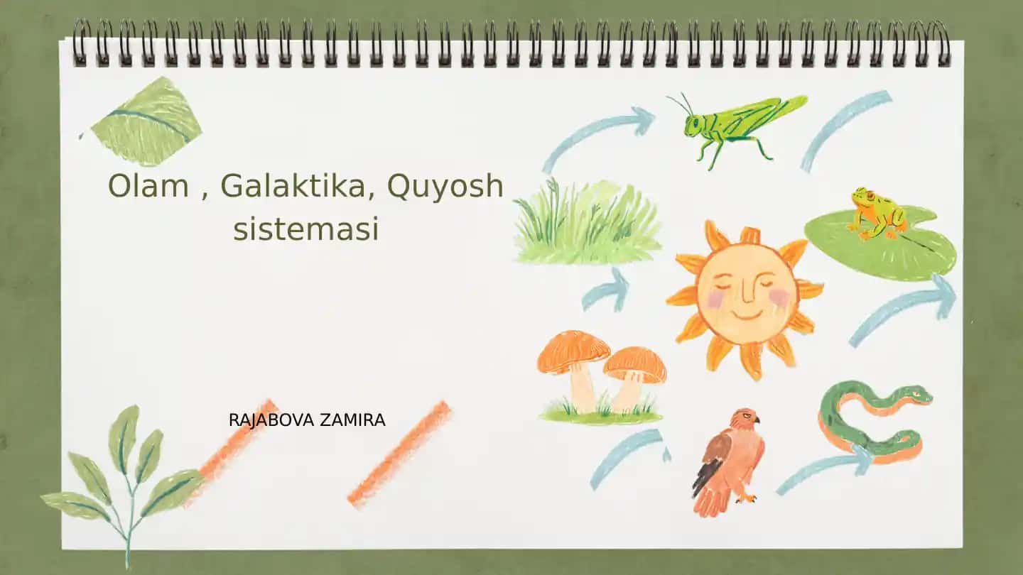 Olam, Galaktika, Quyosh sistemasi