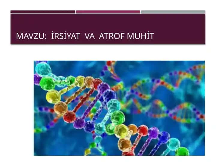 Irsiyat va Atrof Muhit
