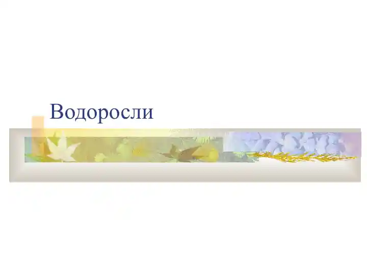Vodorosli