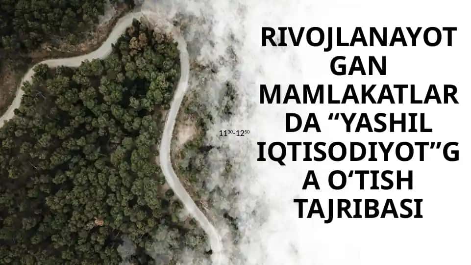 “Yashil Iqtisodiyotga O‘tish Tajribasi”