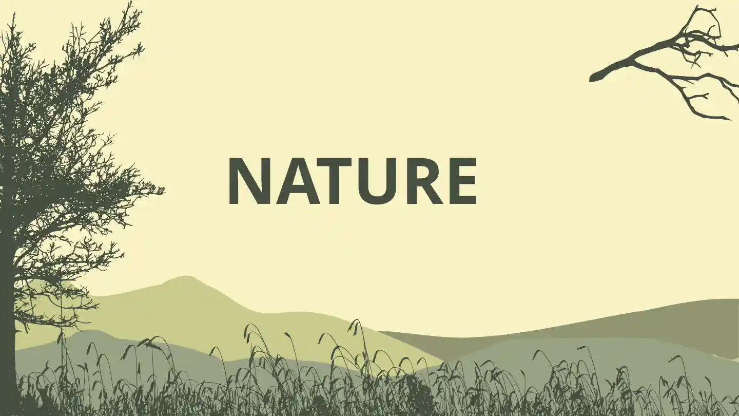 The Four Elements of Nature