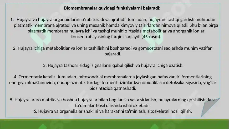 Product slide 6
