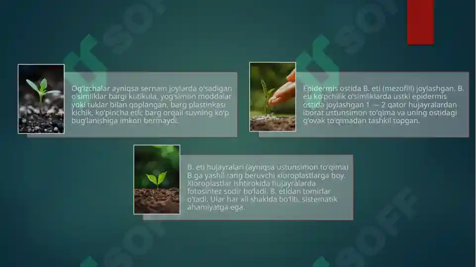 Product slide 6