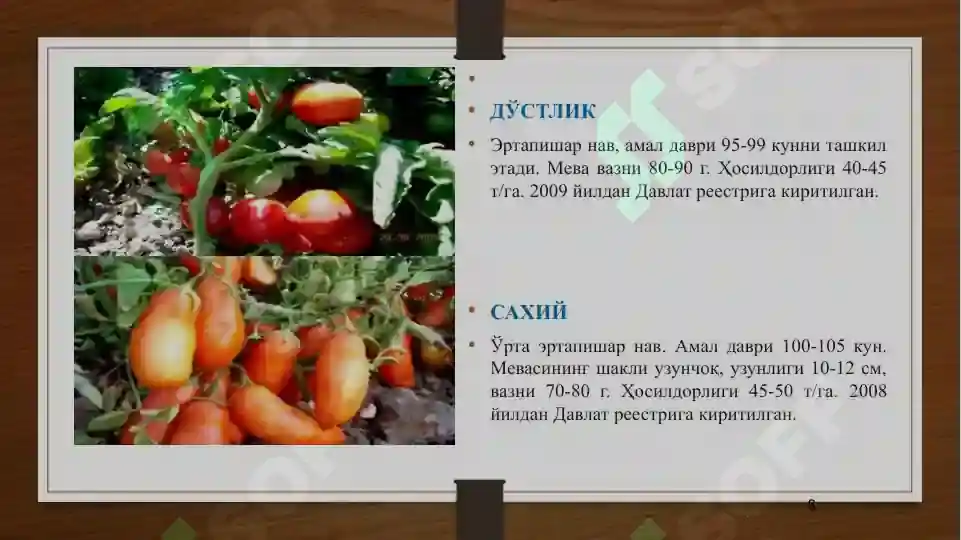 Product slide 6