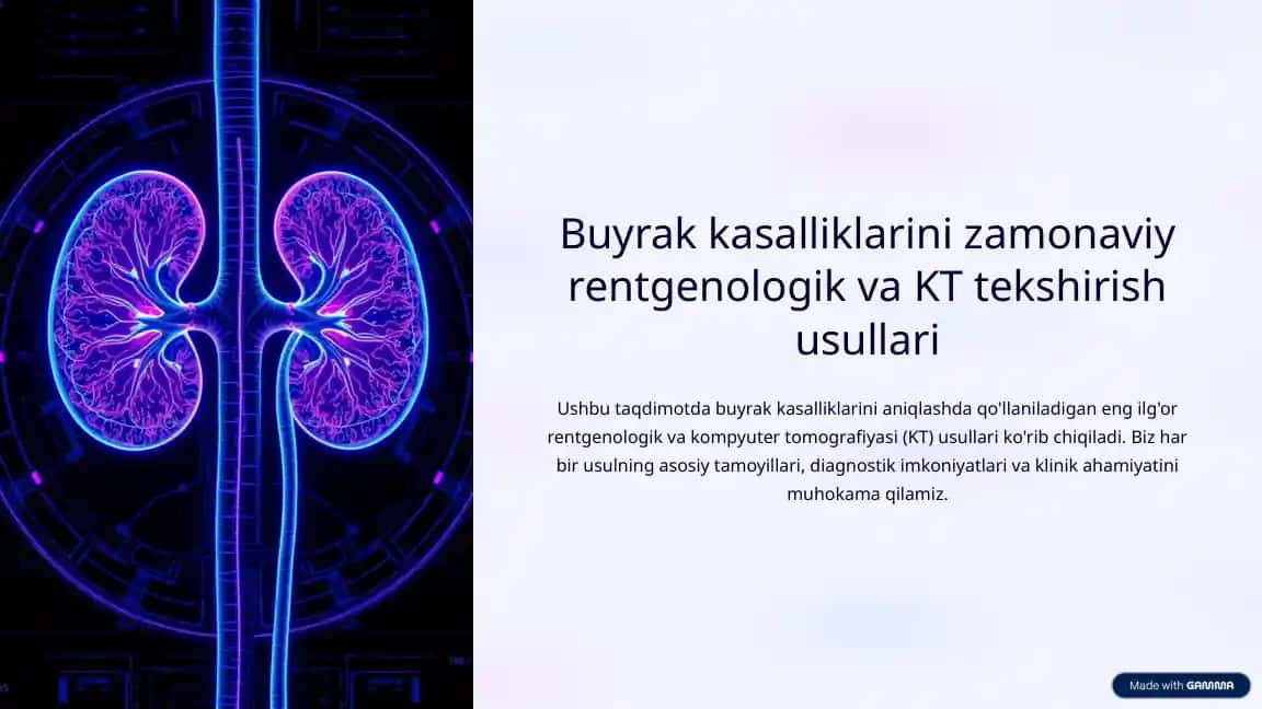 Buyrak kasalliklarini zamonaviy rentgenologik va KT tekshirish usullari