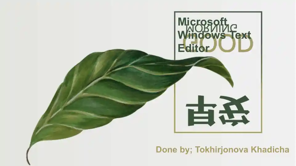 Microsoft Windows Text Editor