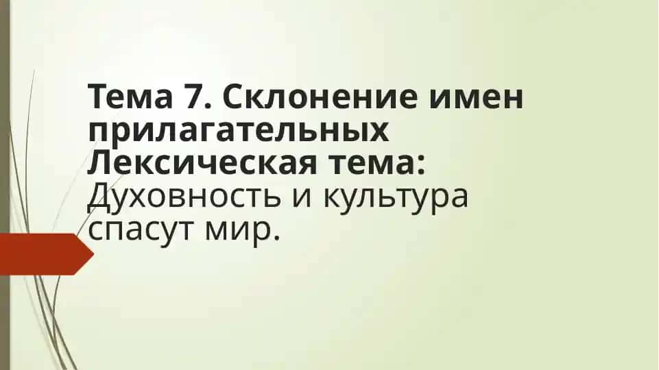 Имена прилагательные