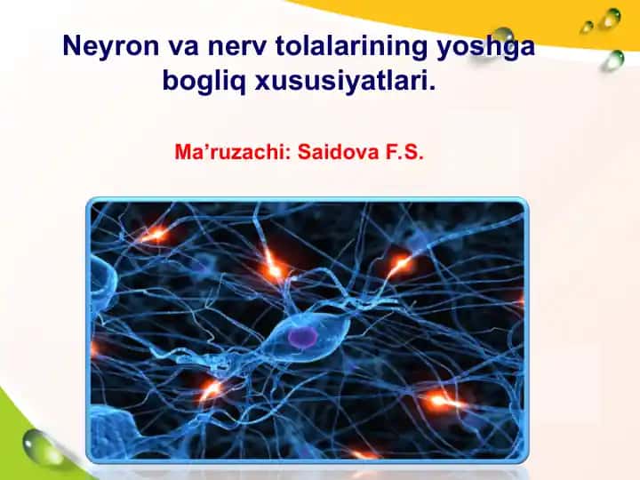 Neyron va nerv tolalarining yoshga bogliq xususiyatlari