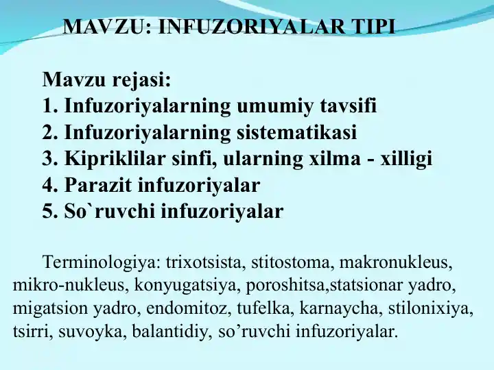 Infuzoriyalar Turi