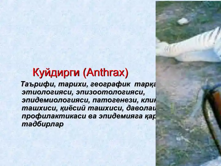 Ku'ydirgi (Anthrax)