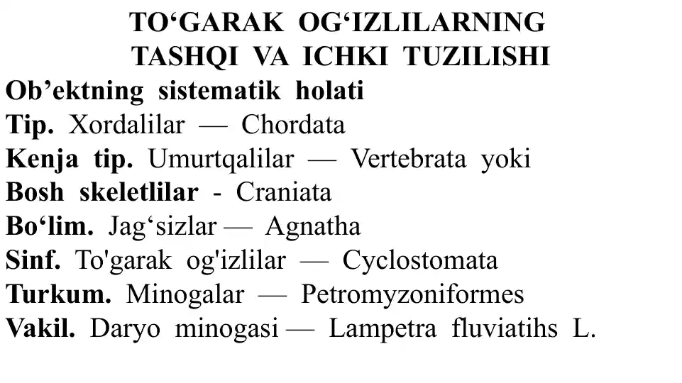 TO‘GARAK OG‘IZLILARNING TASHQI VA ICHKI TUZILISHI