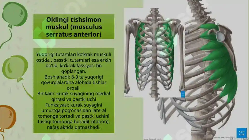 Product slide 7