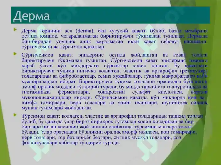 Product slide 7