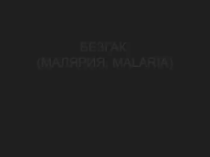 БЕЗГАК(МАЛЯРИЯ, MALARIA)
