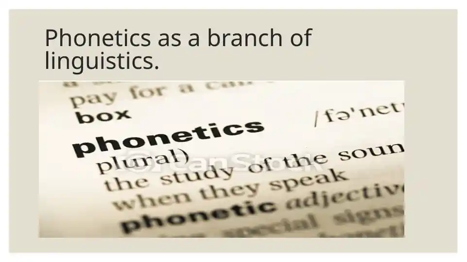 Phonetics as a branch of linguistics