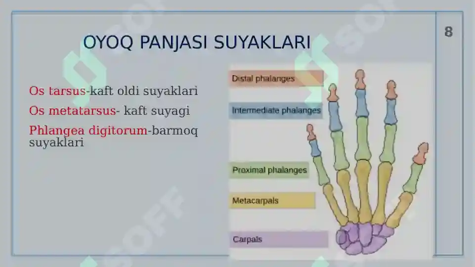 Product slide 8