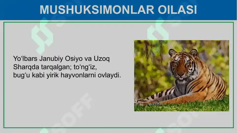 Product slide 6