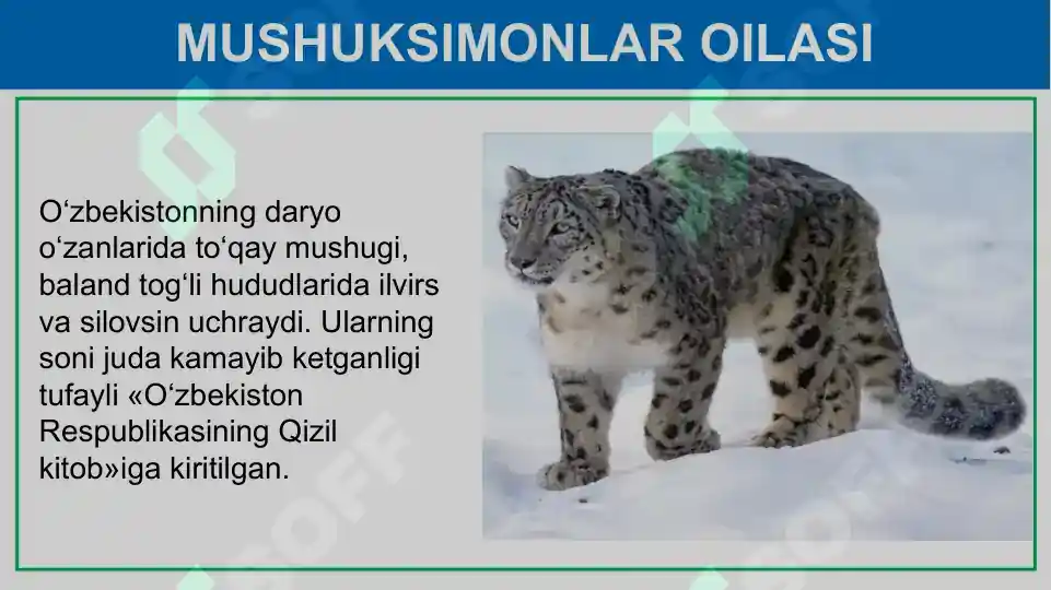 Product slide 7