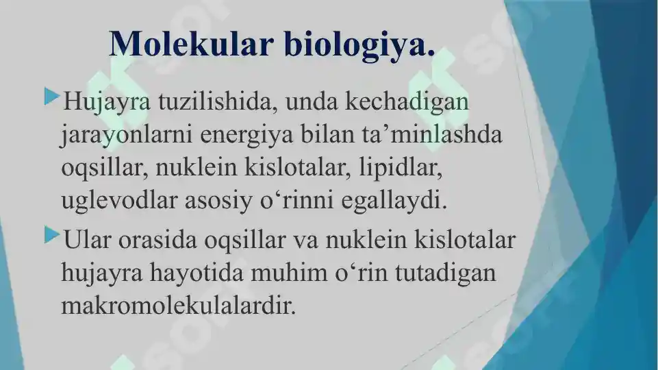 Product slide 8