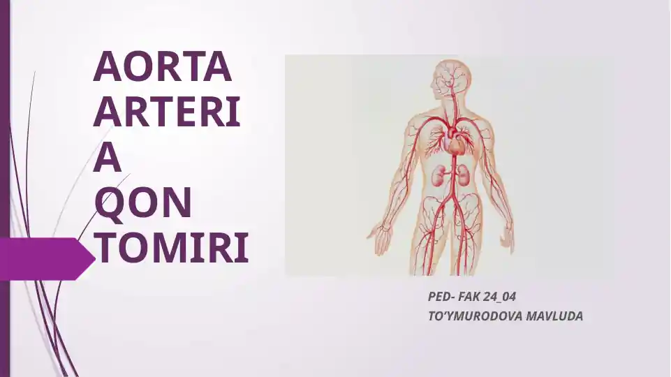 AORTA ARTERIAQON TOMIRI