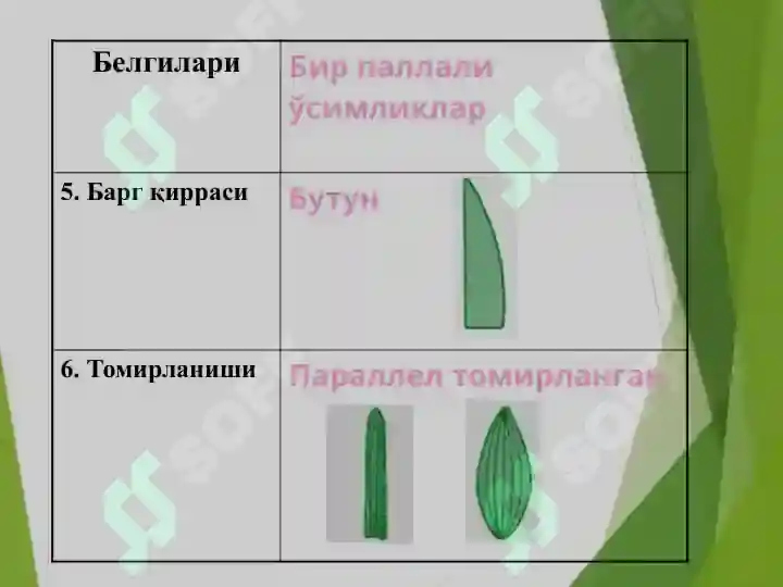 Product slide 6